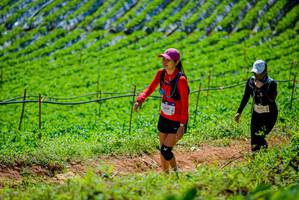 BIB: 1337
                            <button type="button" onclick="openModal(19163840)" class="btn btn-primary btn-sm float-right btn-popup" data-toggle="modal" data-target=".modal-high-quality">
                        <i class="fas fa-shopping-cart"></i> Add to Cart
                    </button>
                                            <button type="button" onclick="isThisMe(19163840, true)" class="btn btn-success btn-sm float-right btn-popup btn-isme hidden" data-toggle="tooltip" data-placement="bottom" title="นี่คือรูปของคุณใช่ไหม คลิกที่นี่เพื่อเอาเข้าอัลบั้ม">
                        <i class="fas fa-plus"></i> Add to album
                    </button>
                    <button type="button" onclick="isThisMe(19163840, false)" class="btn btn-warning btn-sm float-right btn-popup btn-isnotme hidden">
                        <i class="fas fa-ban"></i> Remove from album
                    </button>